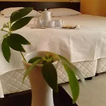 Готель елица