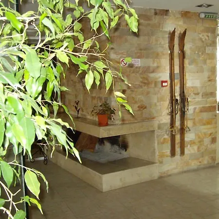 елица Hotell Bansko