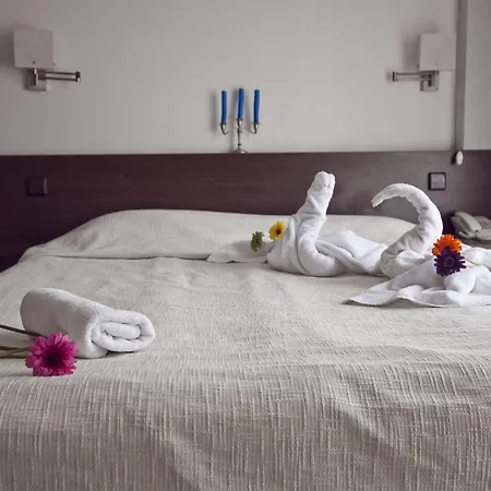 елица Hotell