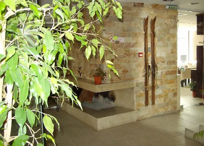 елица Hotel Bansko